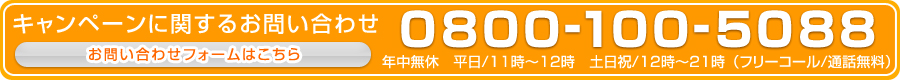 �����ڡ���˴ؤ��뤪�䤤��碌0800-100-5088