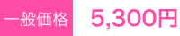 ���̲��ʡ�5,300��