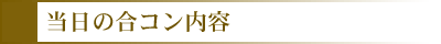 �����ι祳������