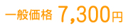 ���̲��ʡ�7300��