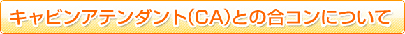 �L���r���A�e���_���g�Ƃ̍��R���ɂ���