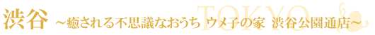 �a�J�����O�E�E���q�̉�-���R���E�R���p�J�Â̂��X
