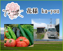 �ԗl Ka-you�̔_�������ߍ]���