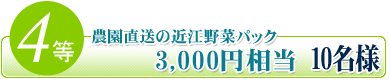 �S�� �ԗl ka-you �_�������̋ߍ]��؃p�b�N 3,000�~���� �P�O���l�Ƀv���[���g