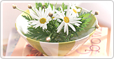 �Z�b�e�B���O���̂��x�����ɂ���