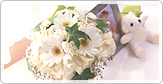 �L�����Z���ɂ���