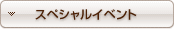 ���ڥ���륤�٥��