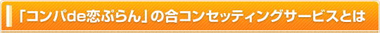 合コンセッティングサービスとは