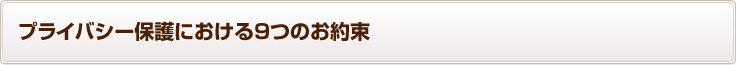 �ץ饤�Х����ݸ�ˤ�����9�ĤΤ���«