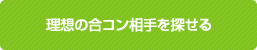 ���ۤι祳������õ����