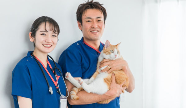 �ð�դι祳�󡦥���Ѥνв񤤰���