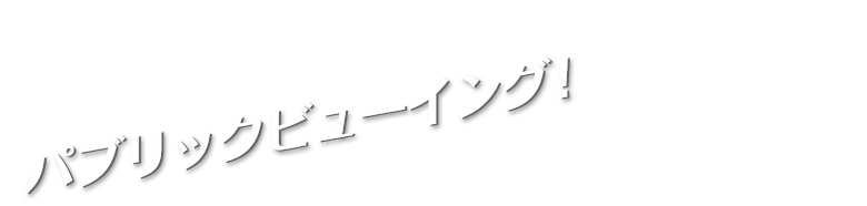 VIP�롼��ǥѥ֥�å��ӥ塼����