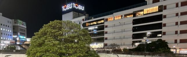 �������ꥢ