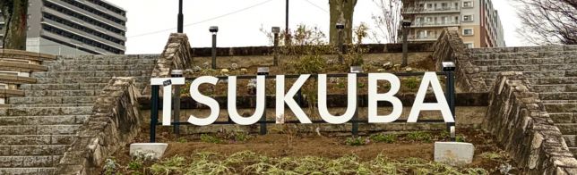 �Ĥ��Х��ꥢ