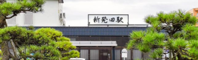 ��ȯ�ĥ��ꥢ