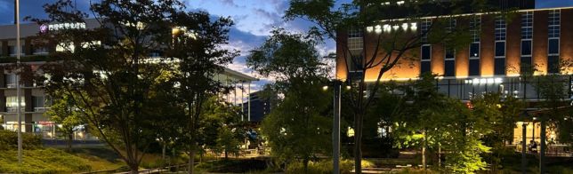 ¿�������ꥢ