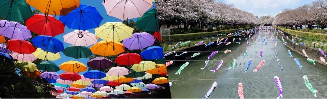 ���ӥ��ꥢ