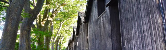 ���ĥ��ꥢ